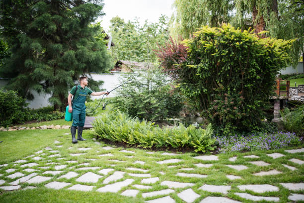 Best Arborist Consultation Services  in Hooverson Heights, WV